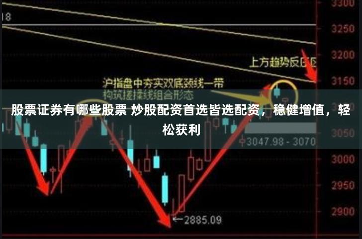 股票证券有哪些股票 炒股配资首选皆选配资，稳健增值，轻松获利