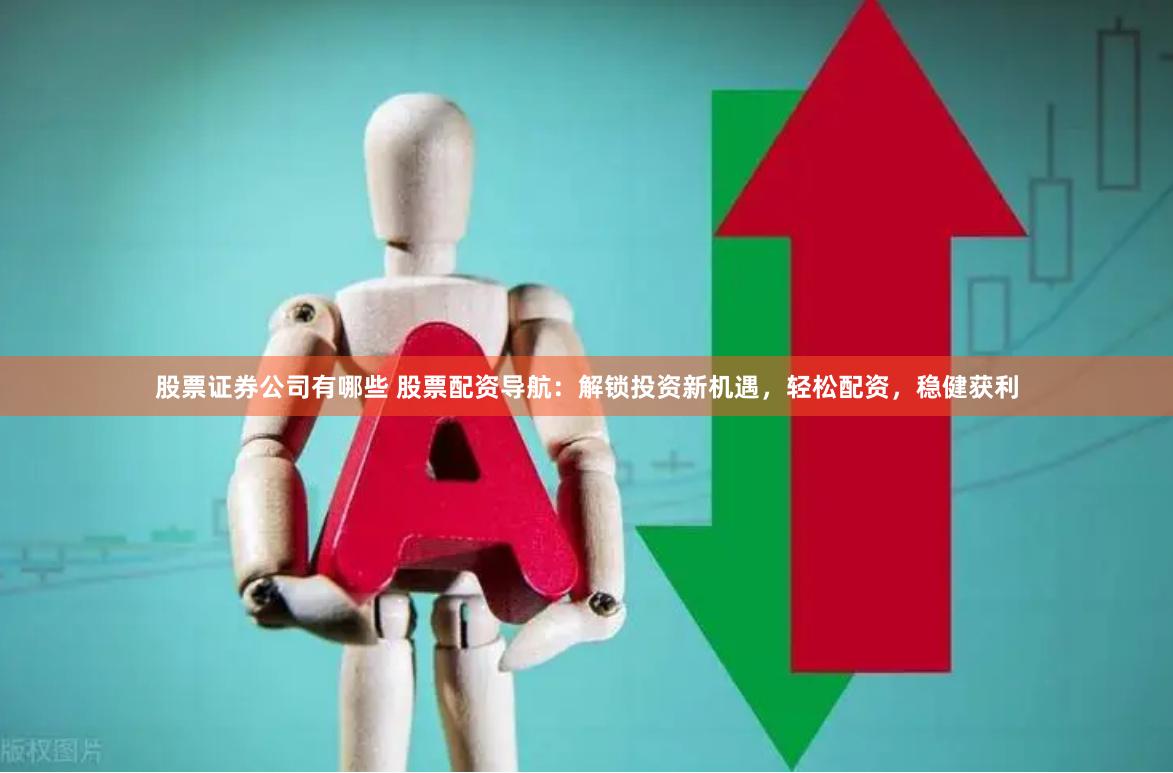 股票证券公司有哪些 股票配资导航：解锁投资新机遇，轻松配资，稳健获利